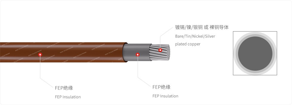 FEP-双-棕.jpg
